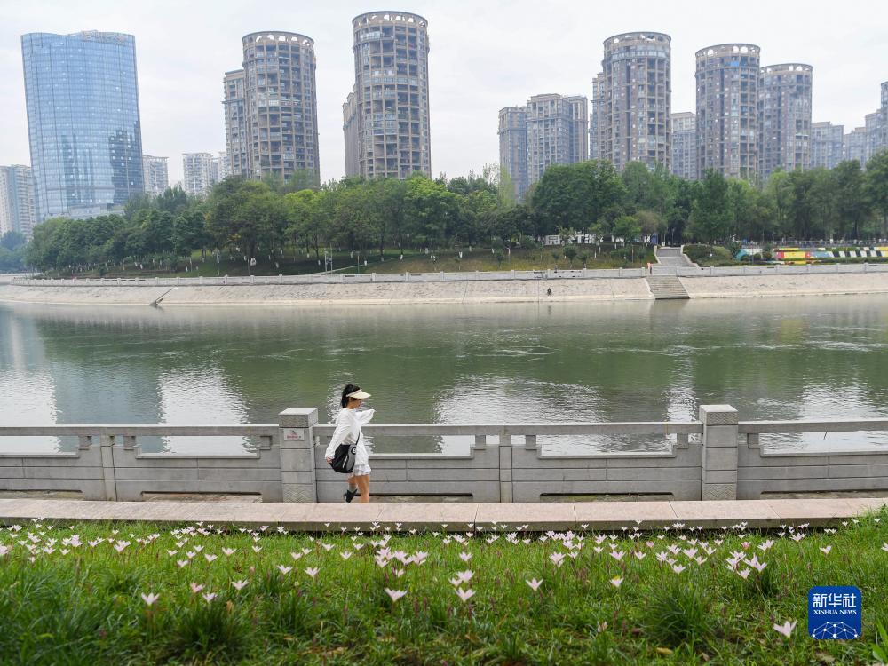 好赢国际558